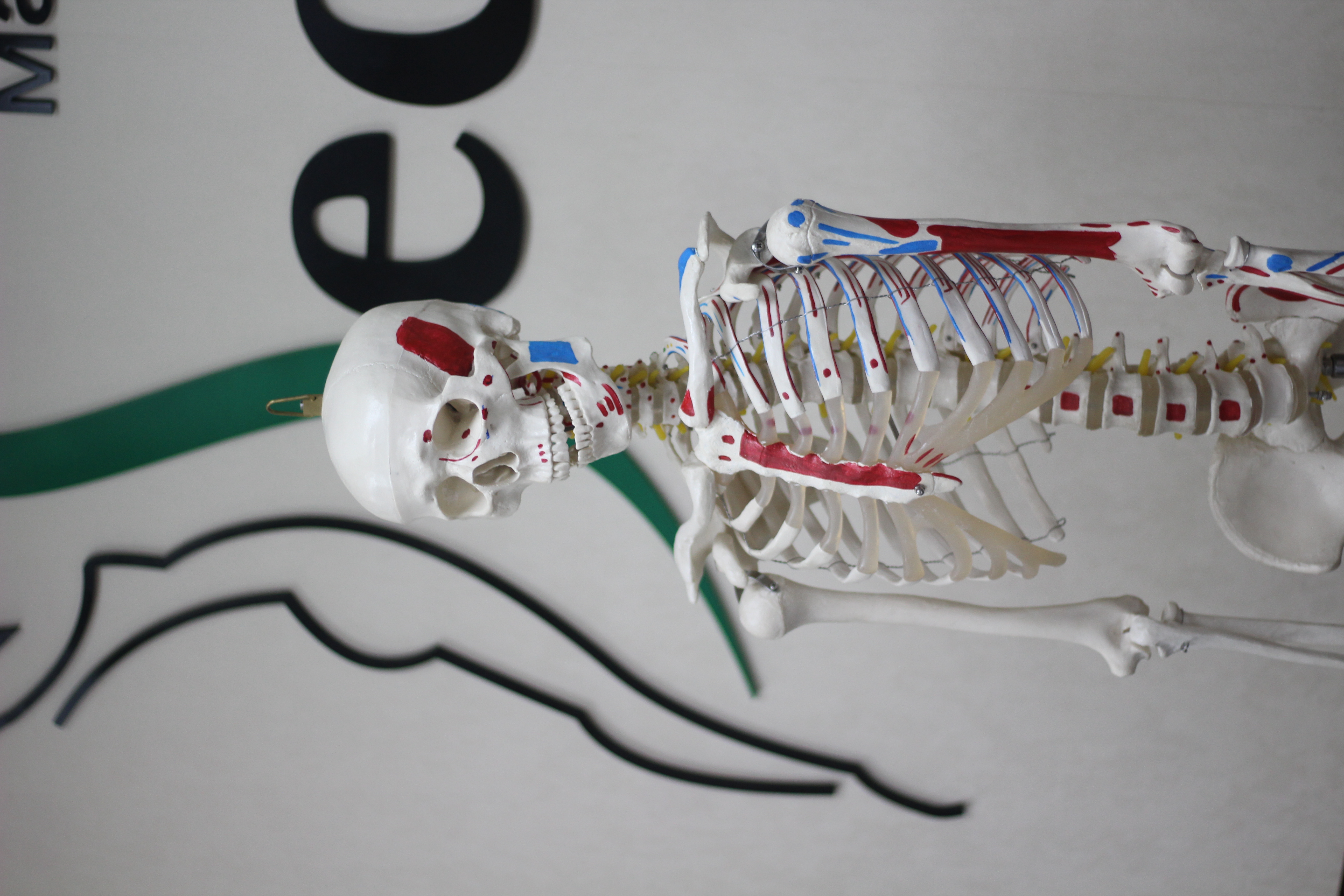 Массаж: вечная ценность